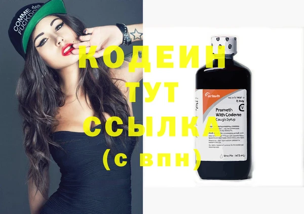 ECSTASY Алзамай
