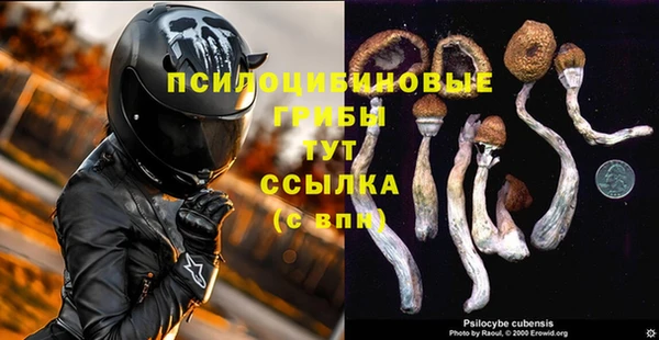 дурь Алексеевка