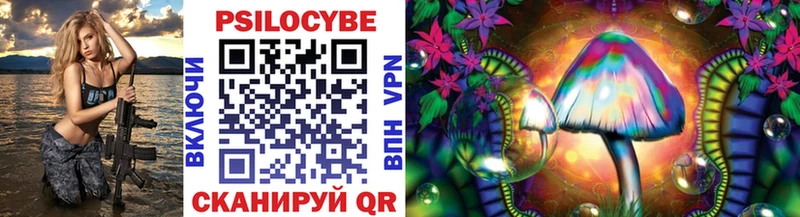 omg сайт Куртамыш Псилоцибиновые грибы мухоморы